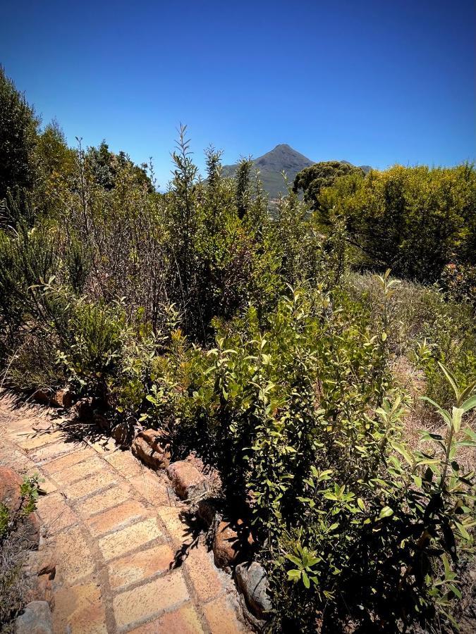 Windrose, Noordhoek, Sensationeller Meerblick Kapstaden Exteriör bild