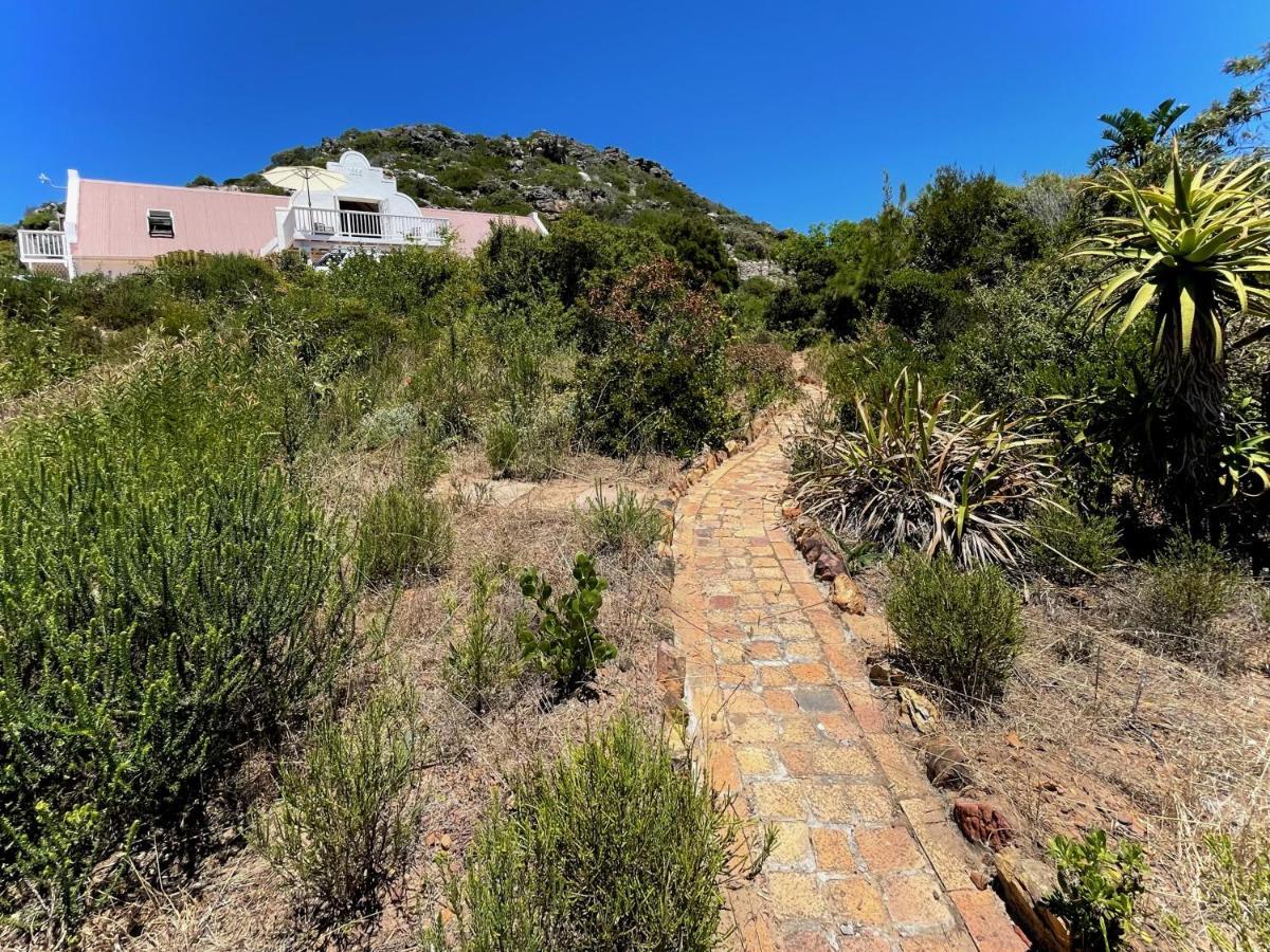 Windrose, Noordhoek, Sensationeller Meerblick Kapstaden Exteriör bild
